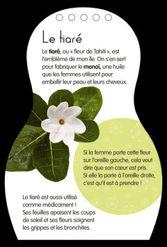 Minimiki - Carnet créatif - Mohea à Tahiti