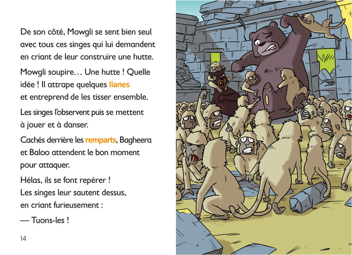 Le Livre de la jungle - CE1