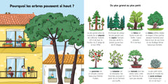 Explique-moi les arbres
