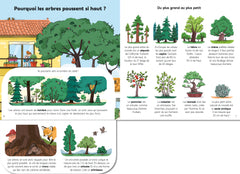 Explique-moi les arbres