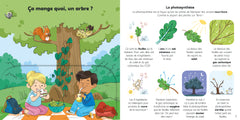 Explique-moi les arbres