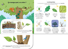 Explique-moi les arbres