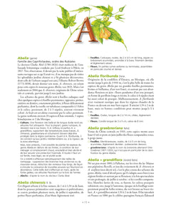 Le grand Larousse des arbres