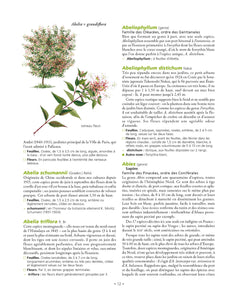 Le grand Larousse des arbres