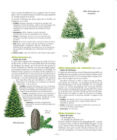 Le grand Larousse des arbres
