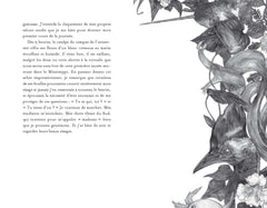 Un monde de merveilles