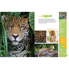 Mon encyclo des animaux