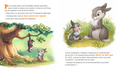 Les nouvelles histoires de Panpan - Bonne nuit, Panpan !