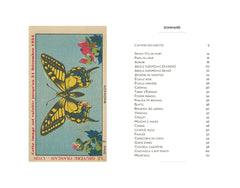 Petit livre des insectes et papillons