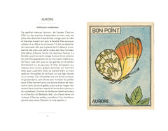 Petit livre des insectes et papillons