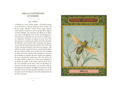 Petit livre des insectes et papillons