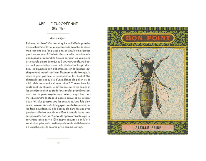 Petit livre des insectes et papillons