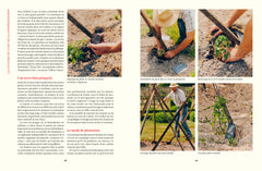 Le Conservatoire de la Tomate - Savoir-faire de La Bourdaisière &middot; 50 variétés à cultiver