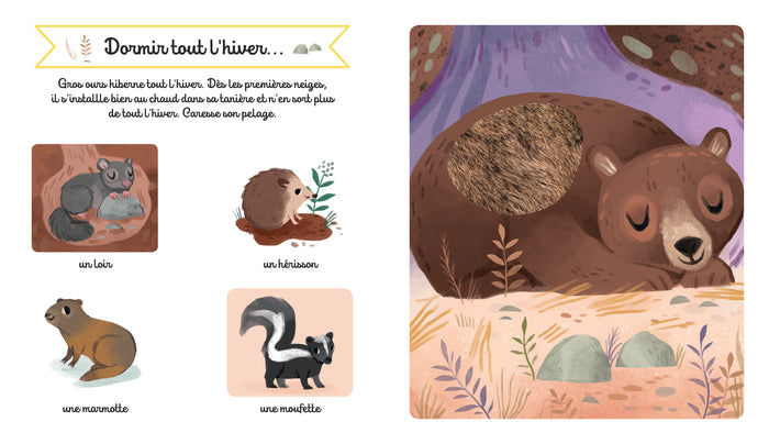 Bonne nuit: Regarde et touche