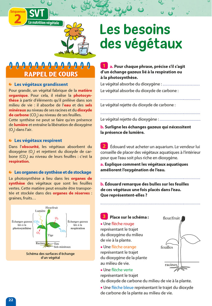 Passeport - Toutes les matières - De la 5e à la 4e - Cahier de vacances 2024