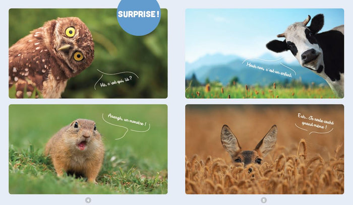 Les animaux les plus mignons du monde