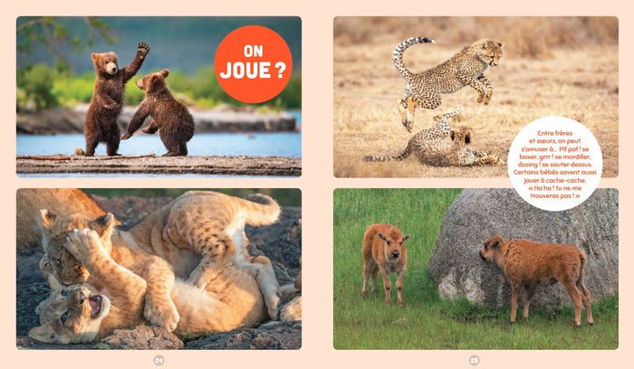 Les animaux les plus mignons du monde