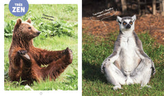 Les animaux les plus mignons du monde