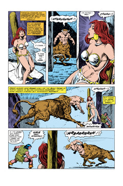 Conan le Barbare : L'intégrale 1978 (T09)
