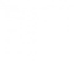 Mafalda féminin singulier