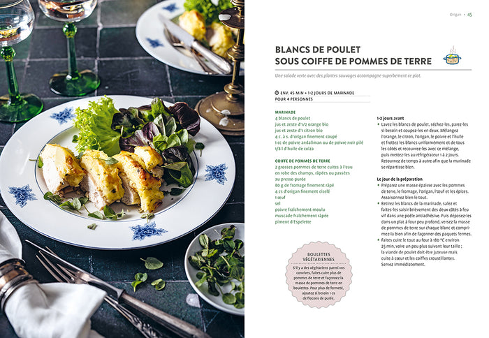 Plantes sauvages comestibles en automne et en hiver