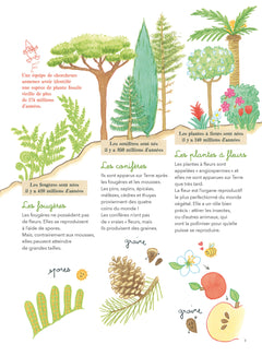 Quand ça va quand ça va pas - leur jardin