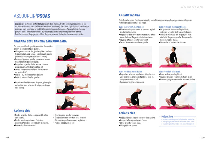 L'encyclopédie du yoga postural