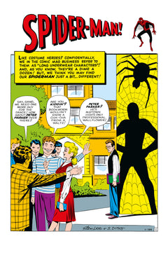 Amazing Spider-Man : À grands pouvoirs