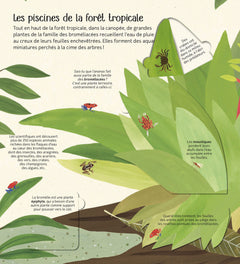 Les petits mondes de l'eau