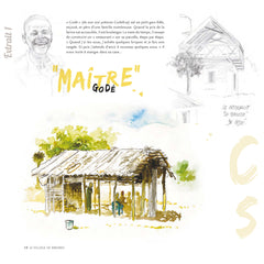 Des gorilles et des hommes: [Carnet de voyage naturaliste au Congo Brazzaville