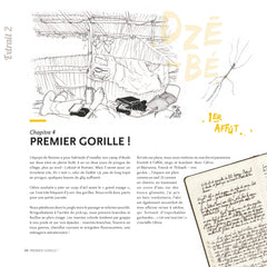 Des gorilles et des hommes