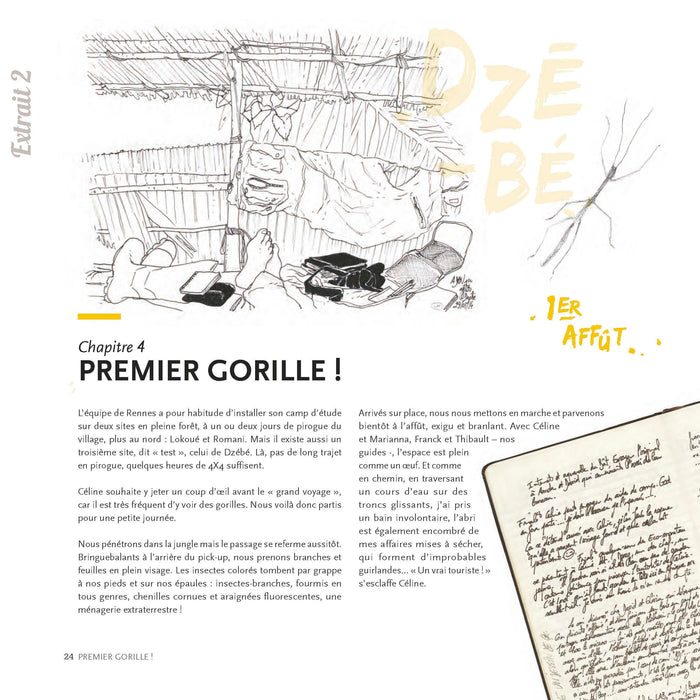 Des gorilles et des hommes: [Carnet de voyage naturaliste au Congo Brazzaville