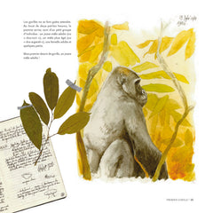 Des gorilles et des hommes: [Carnet de voyage naturaliste au Congo Brazzaville