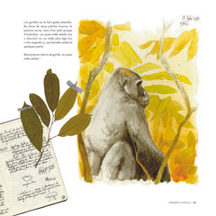 Des gorilles et des hommes: [Carnet de voyage naturaliste au Congo Brazzaville