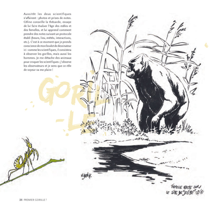 Des gorilles et des hommes: [Carnet de voyage naturaliste au Congo Brazzaville