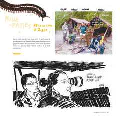 Des gorilles et des hommes: [Carnet de voyage naturaliste au Congo Brazzaville