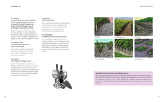 Le vin en 50 questions