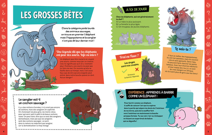 Mon cahier d'activités spécial animaux