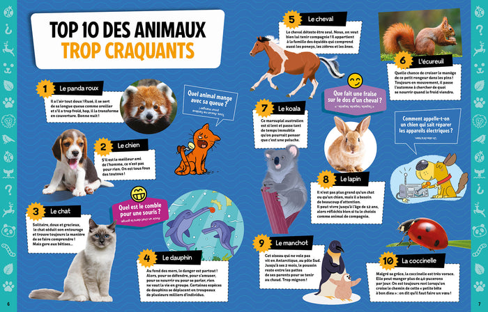 Mon cahier d'activités spécial animaux