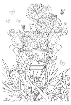 Jardins extraordinaires