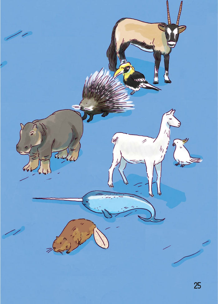 Mes premières lectures Montessori - La malle de Timéo