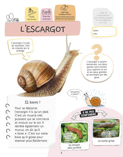 Je sais reconnaître les petites bêtes