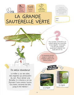 Je sais reconnaître les petites bêtes