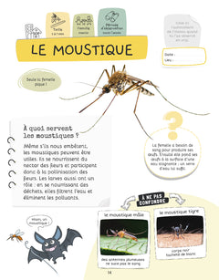 Je sais reconnaître les petites bêtes