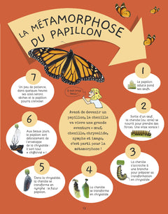 Je sais reconnaître les petites bêtes