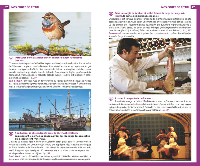 Guide du Routard Andalousie