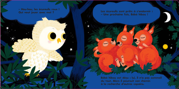 Au dodo ! Bébé hibou n'a pas sommeil du tout