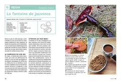Guide des champignons médicinaux - Les 30 champignons incontournables - Leurs bienfaits sur la santé & le bien-être