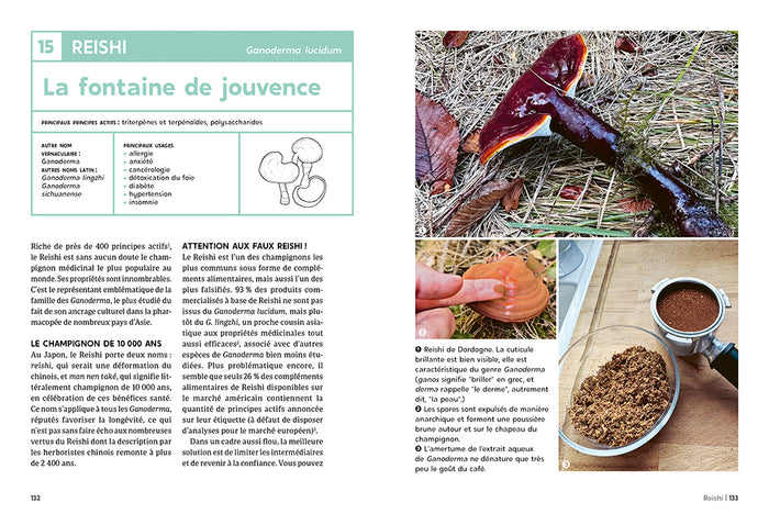 Guide des champignons médicinaux - Les 30 champignons incontournables - Leurs bienfaits sur la santé & le bien-être