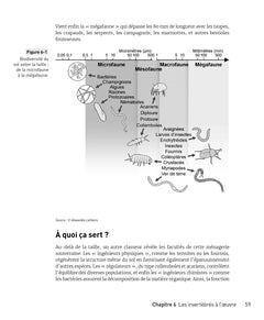 La biodiversité pour les nuls